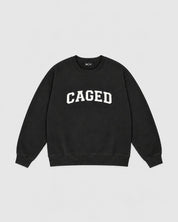 Varsity Sweater