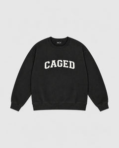 Varsity Sweater