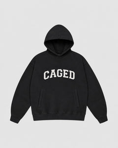 Varsity Hoodie