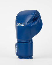 Core Boxing Gloves