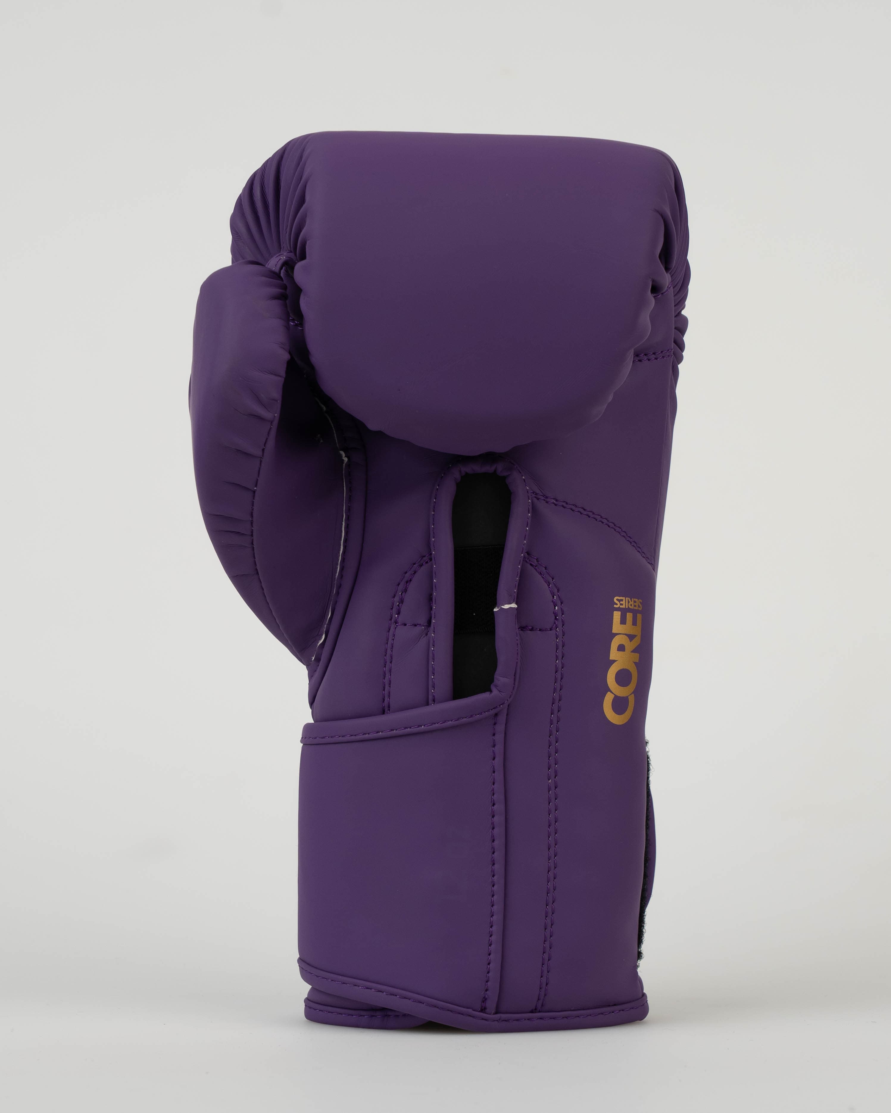 Core Boxing Gloves