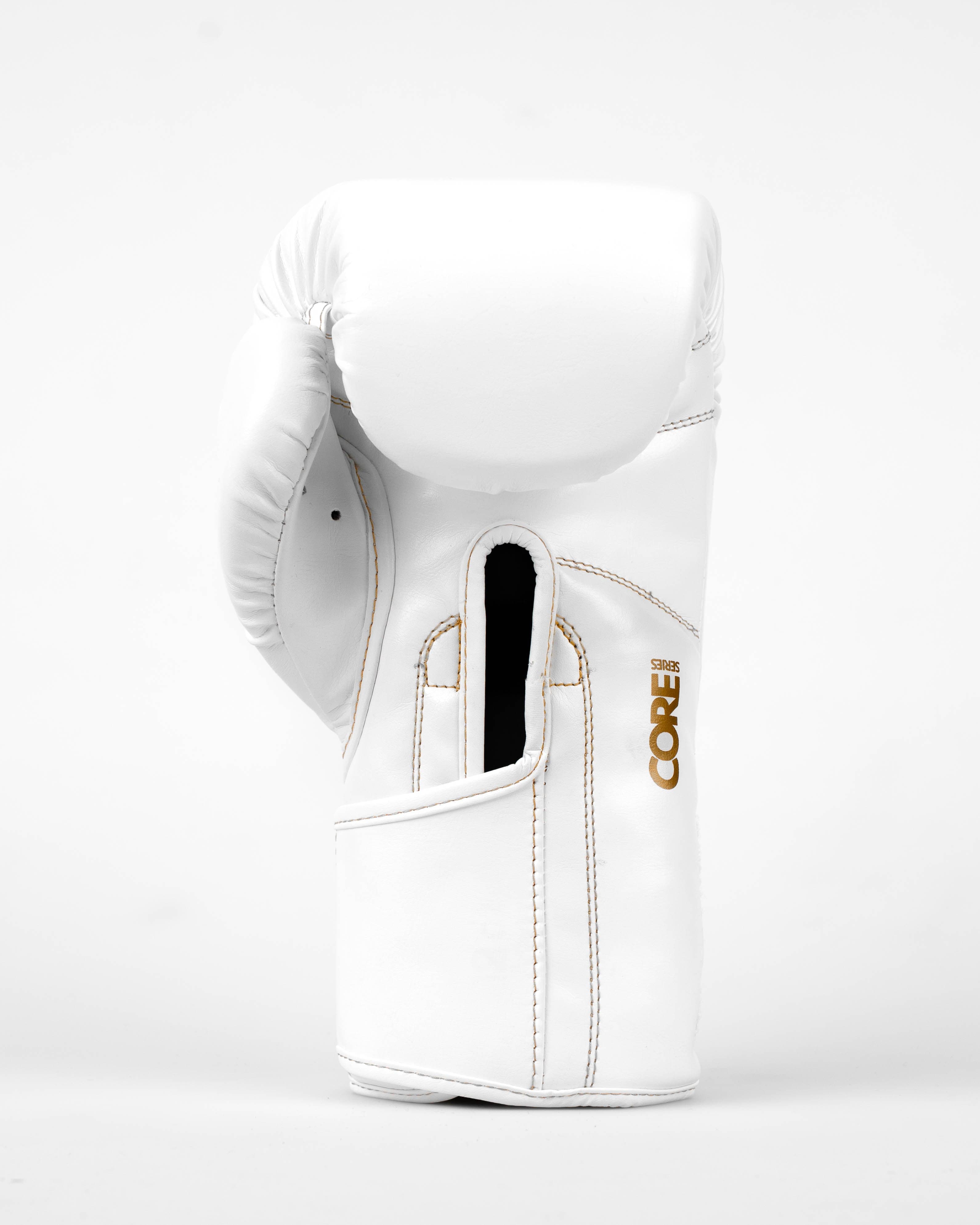 Core Boxing Gloves