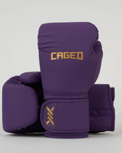 Core Boxing Gloves