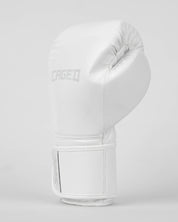 Core Boxing Gloves