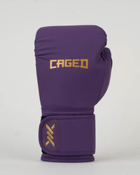 Core Boxing Gloves