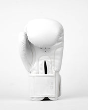 Shadow Boxing Gloves