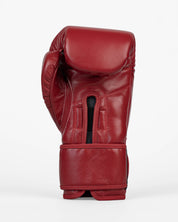 'X' Series Boxing Gloves