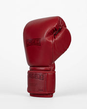 'X' Series Boxing Gloves