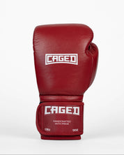 'X' Series Boxing Gloves
